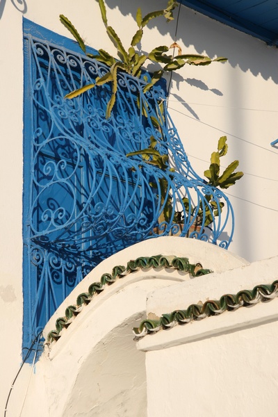 Ventana con Cactus