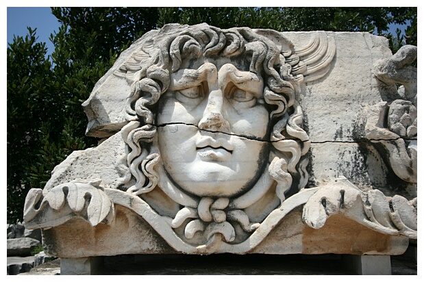 Head of Medusa