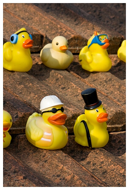 Rubber Duckies