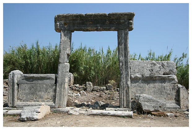 Portal to the Fields