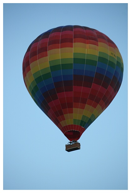 Coloured Balloon