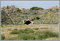 The Stadium of Aphrodisias