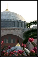 Ayasofya Dome