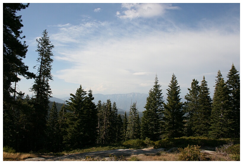 Sequoia National Park