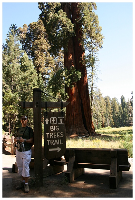 Big Trees Trail