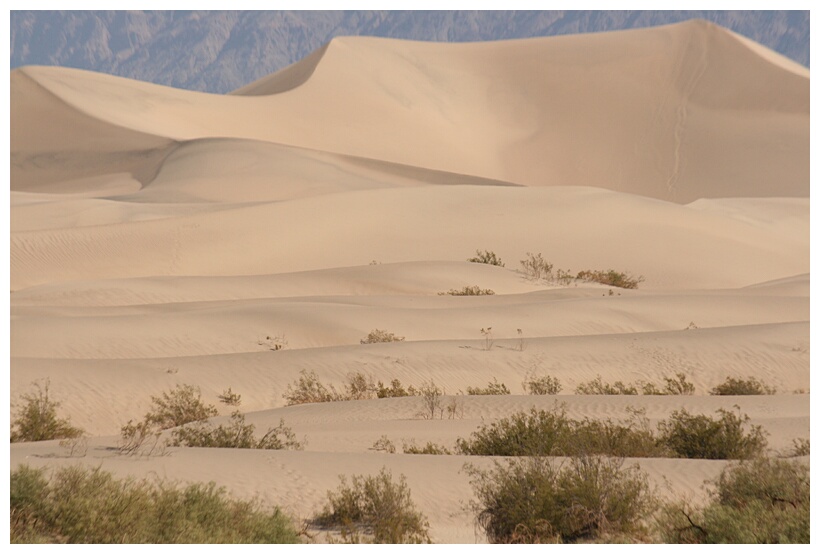 Sand Dunes