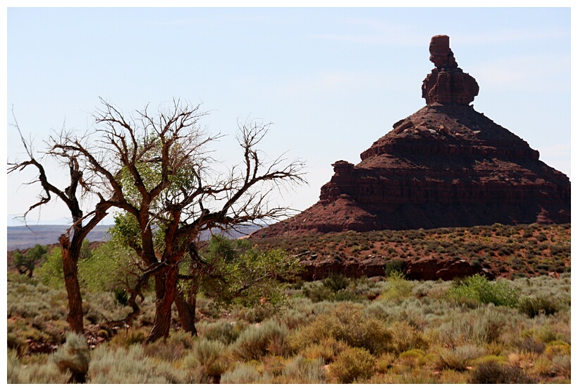 Sandstone Pinnacle