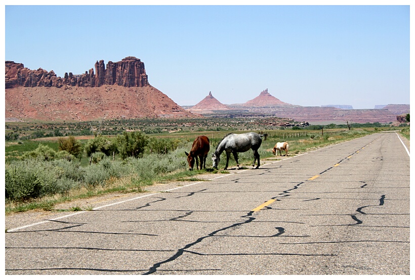 Entering in Canyonland