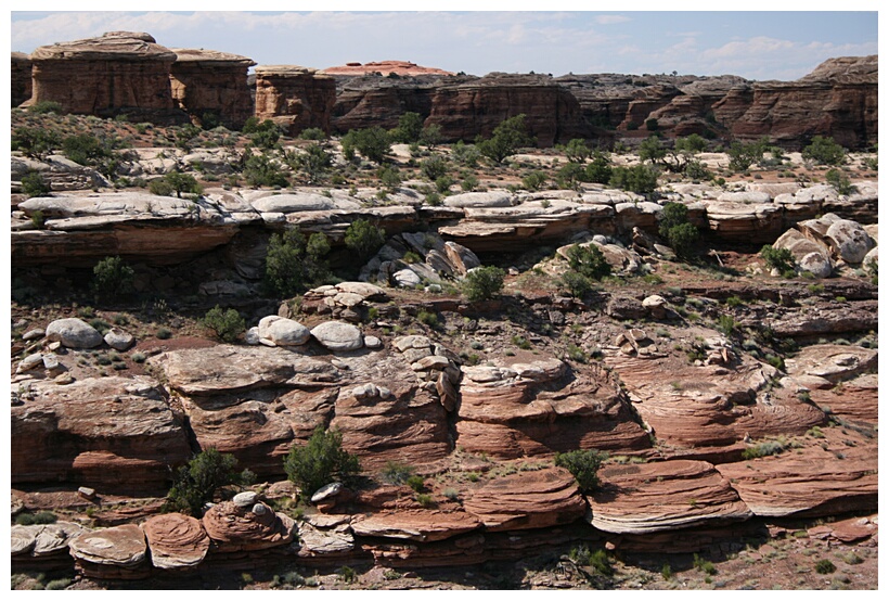 Big Spring Canyon Overlook