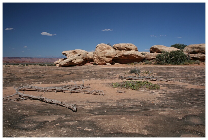 Slickrock Trail