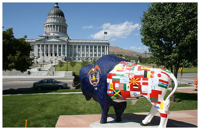 Decorated Buffalo 