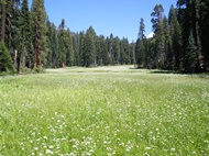 Crescent Meadow