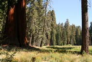 Round Meadow