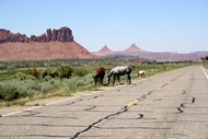 Entering in Canyonland