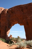 Pine Tree Arch