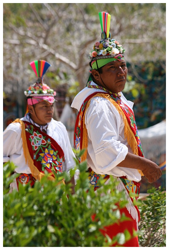 Bailarines del Palo Volador