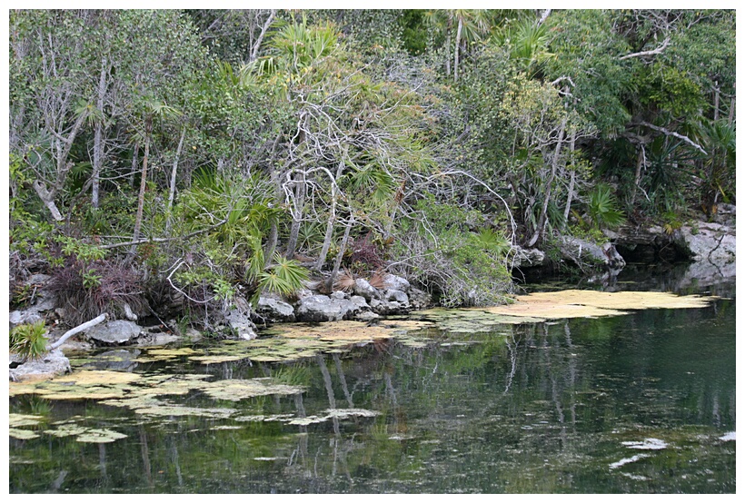 Cenote de Xel-Ha