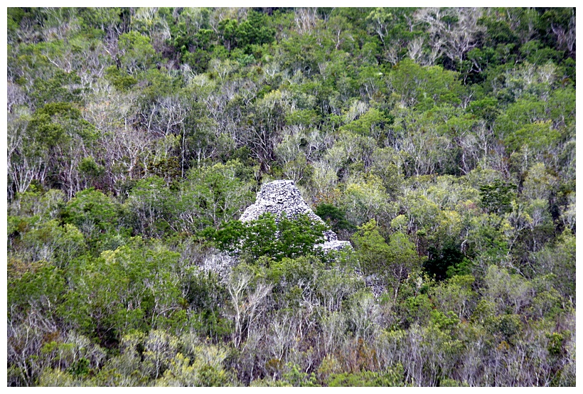 Ruinas entre la Selva