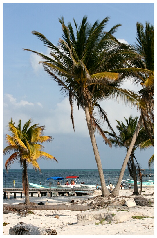 Puerto de Punta Allen