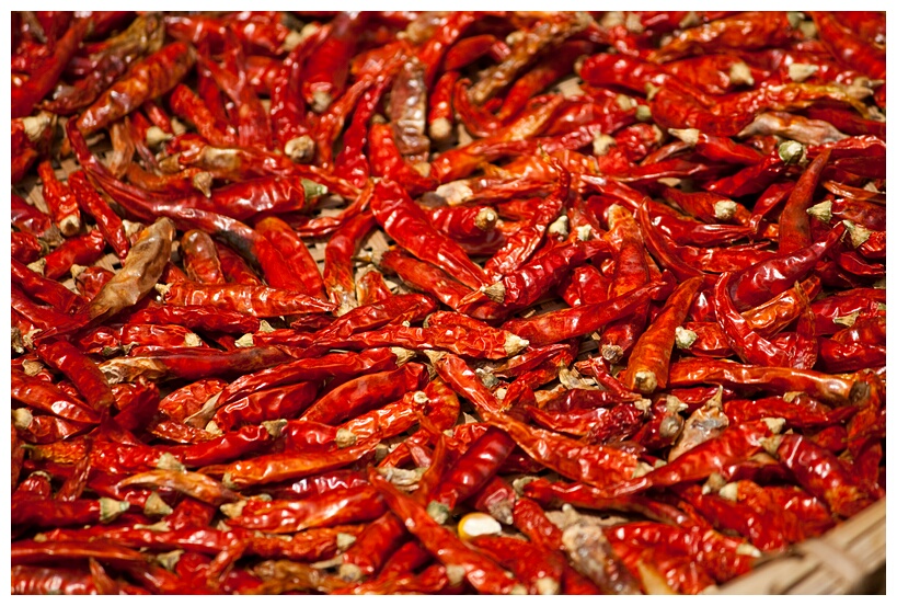 Red Chilies