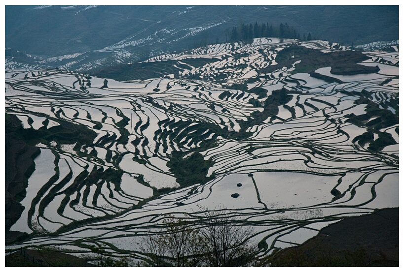 Duoyishu Terraced Landscape