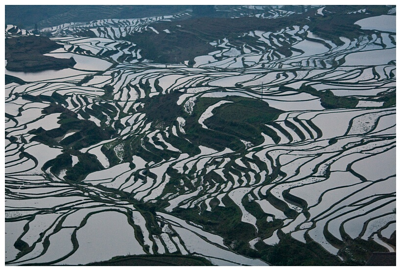 Yuanyang Rice Terraces