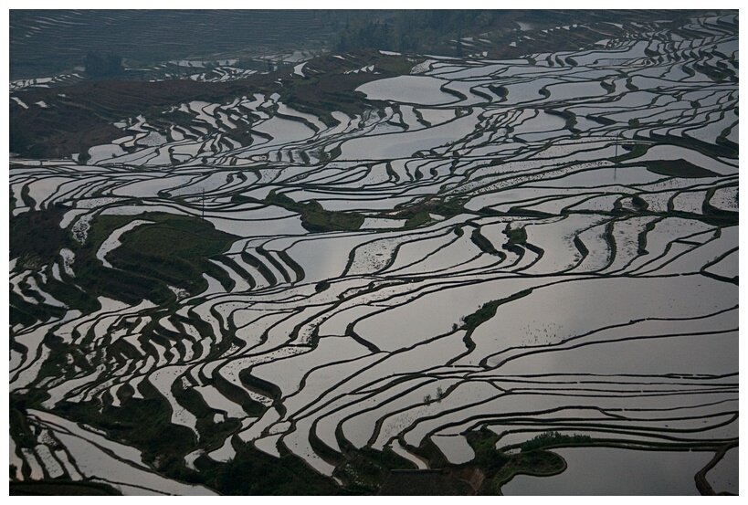 Duoyishu Terraced Landscape