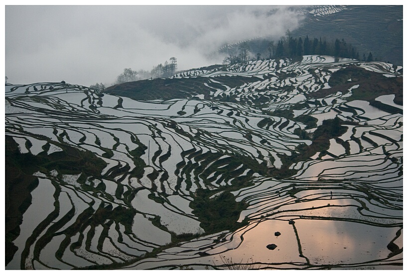 Duoyishu Terraced Landscape