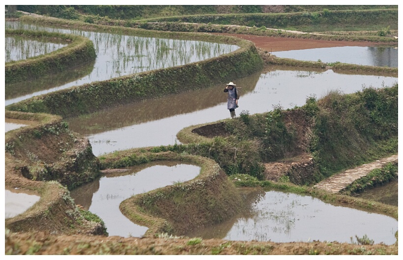 Yuanyang Landscape