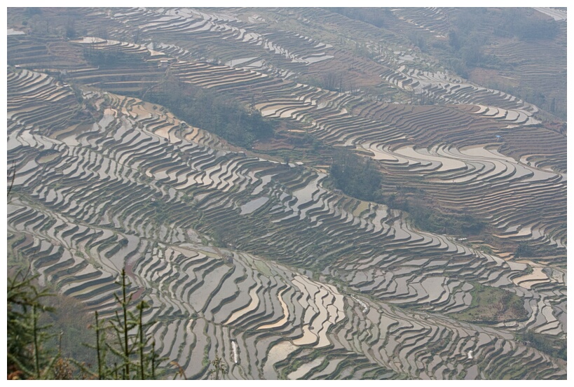 Yuanyang Rice Terraces