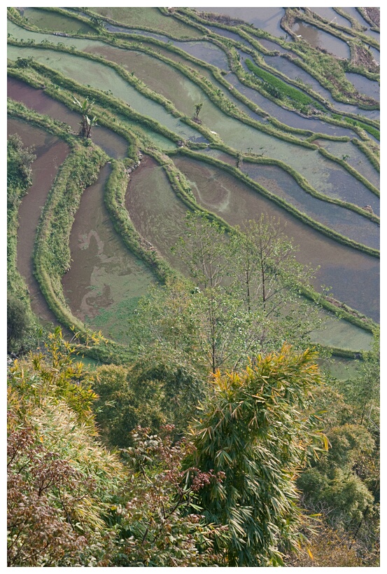 Laohuzui Rice Terraces