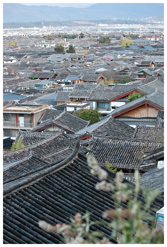 Rooftops