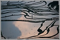 Duoyishu Terraced Landscape