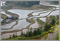 Terraced Hillsides