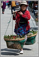 Fruit Seller