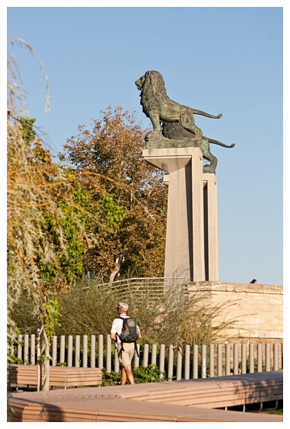 Leones de Bronce